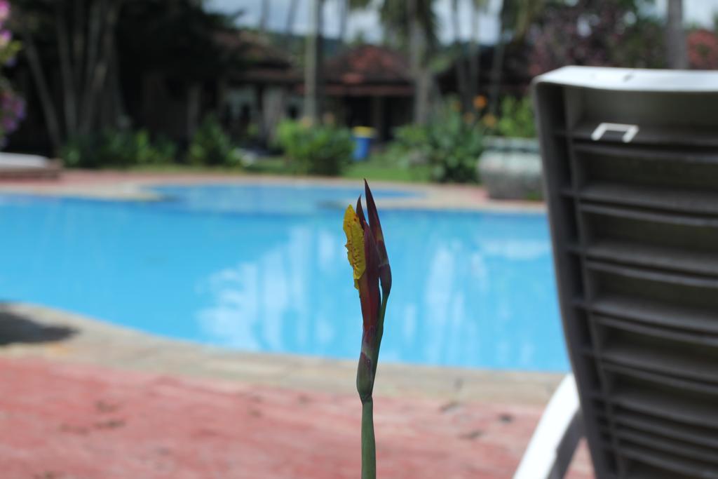 Kuta Indah Hotel Экстерьер фото